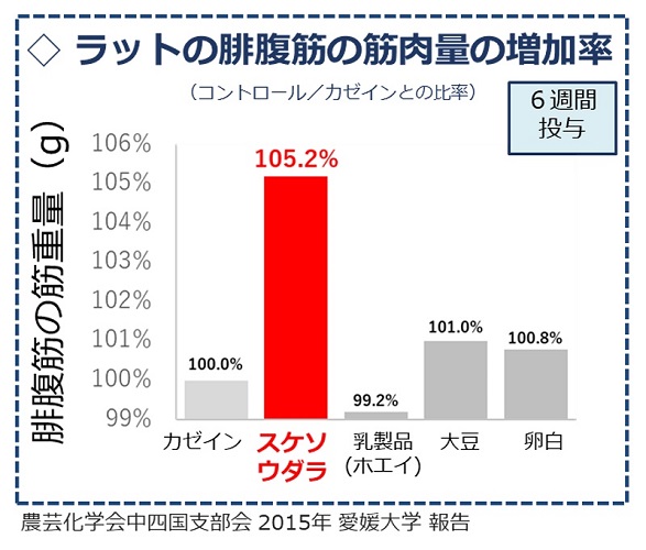 ちくわや魚肉ソーセージを食べるだけで筋肉が増える スケソウダラの速筋タンパク質が注目されている理由 ガジェット通信 Getnews