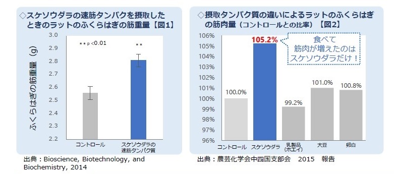 ボディラインの崩れには 食べるだけで筋肉量が増えるスケソウダラの 速筋タンパク が有効 マガジンサミット Goo ニュース