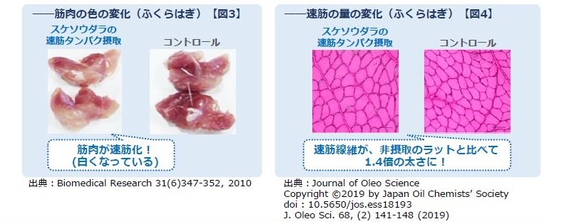 ボディラインの崩れには 食べるだけで筋肉量が増えるスケソウダラの 速筋タンパク が有効 マガジンサミット Goo ニュース